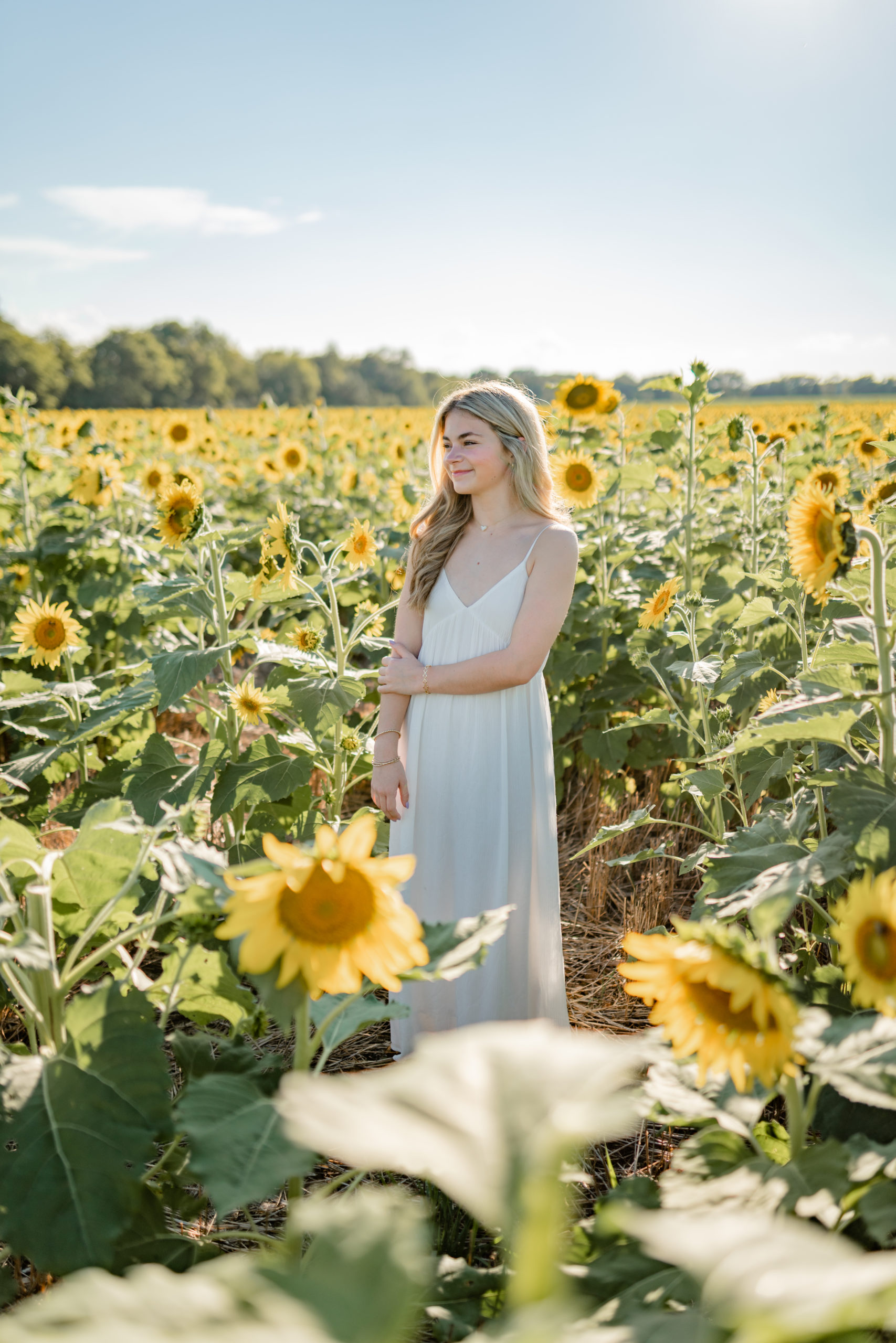 Madison Family Photographer - young girl in sunflower field