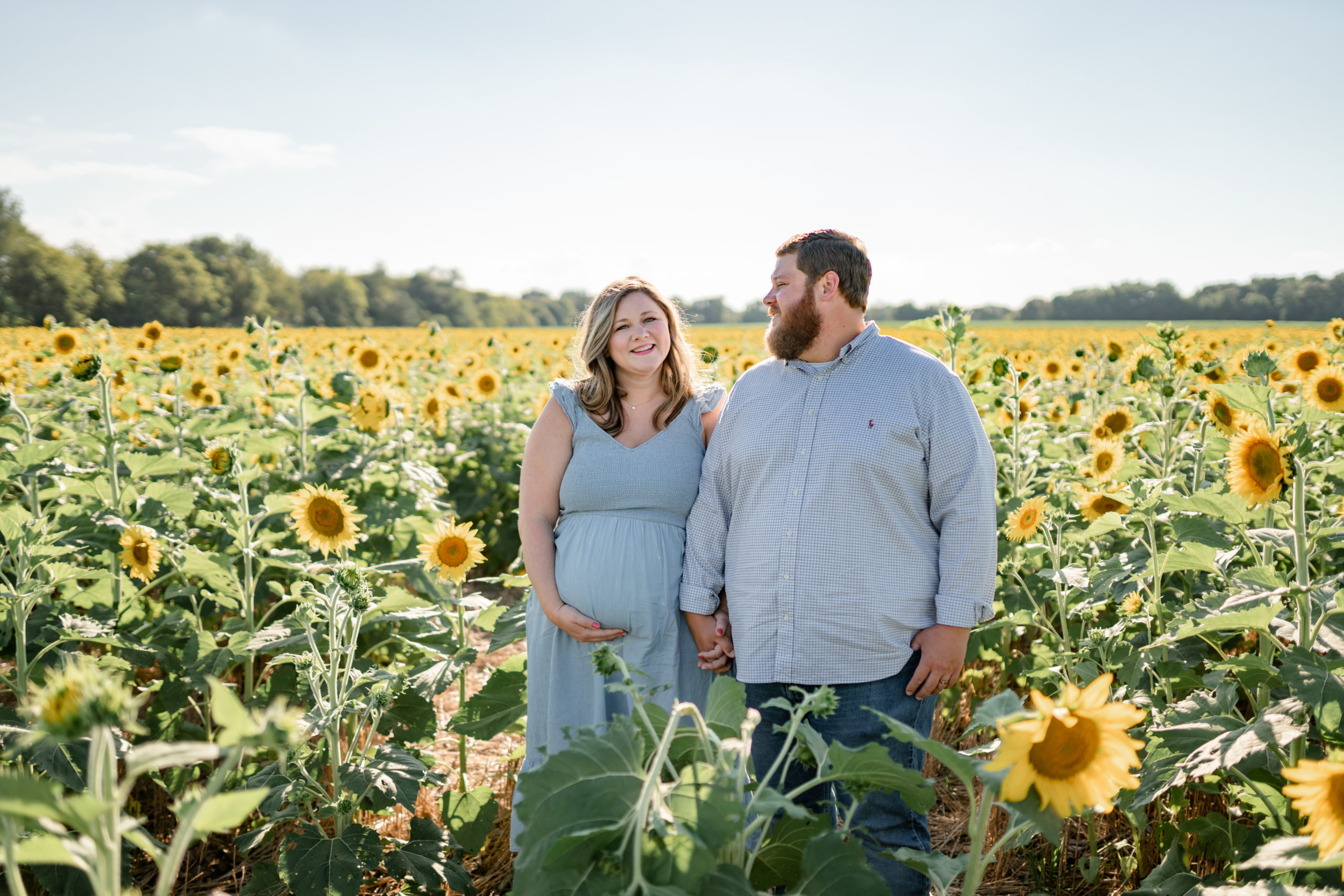 huntsville photographer maternity session sunflower filed