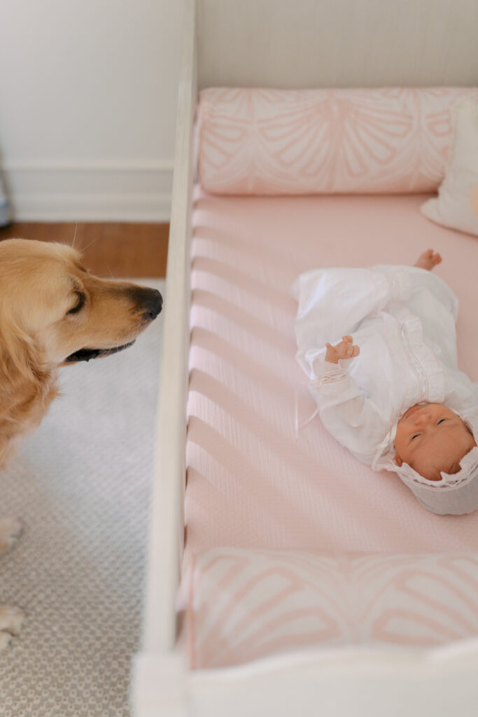 Newborn & Family Photography