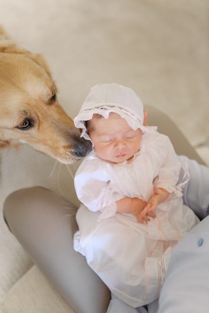Newborn & Family Photography